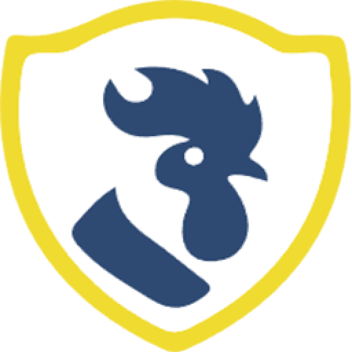 SISIN S.R.L. Logo